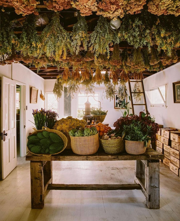 Seasonal Sustenance with Naturopath Olivia Towning